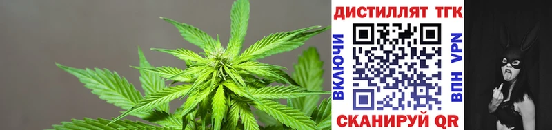 Дистиллят ТГК THC oil купить наркотики цена Котлас