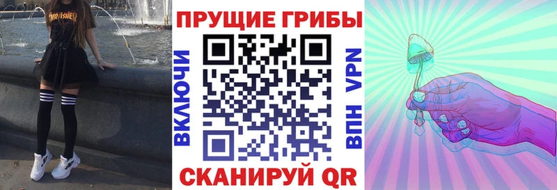 Галлюциногенные грибы мицелий  Котлас 