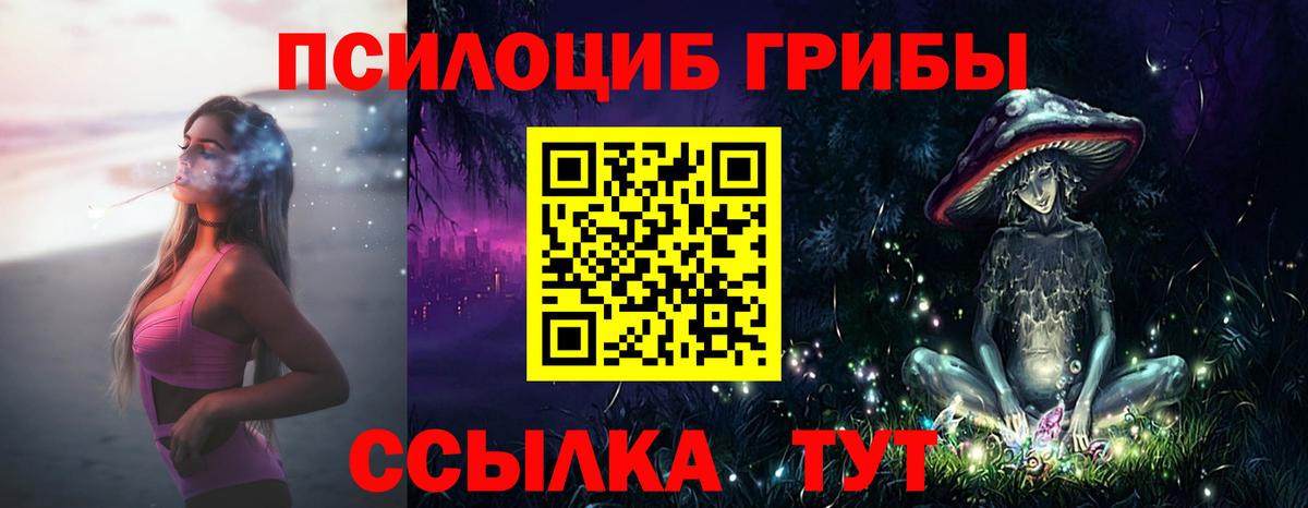 Котлас  Псилоцибиновые грибы мухоморы  Галлюциногенные грибы GOLDEN TEACHER  Вход с VPN 